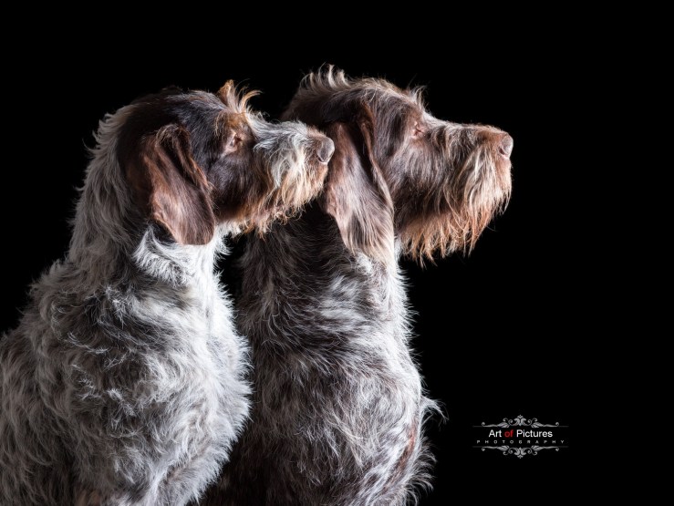 IMG_0325pswasserzeichen