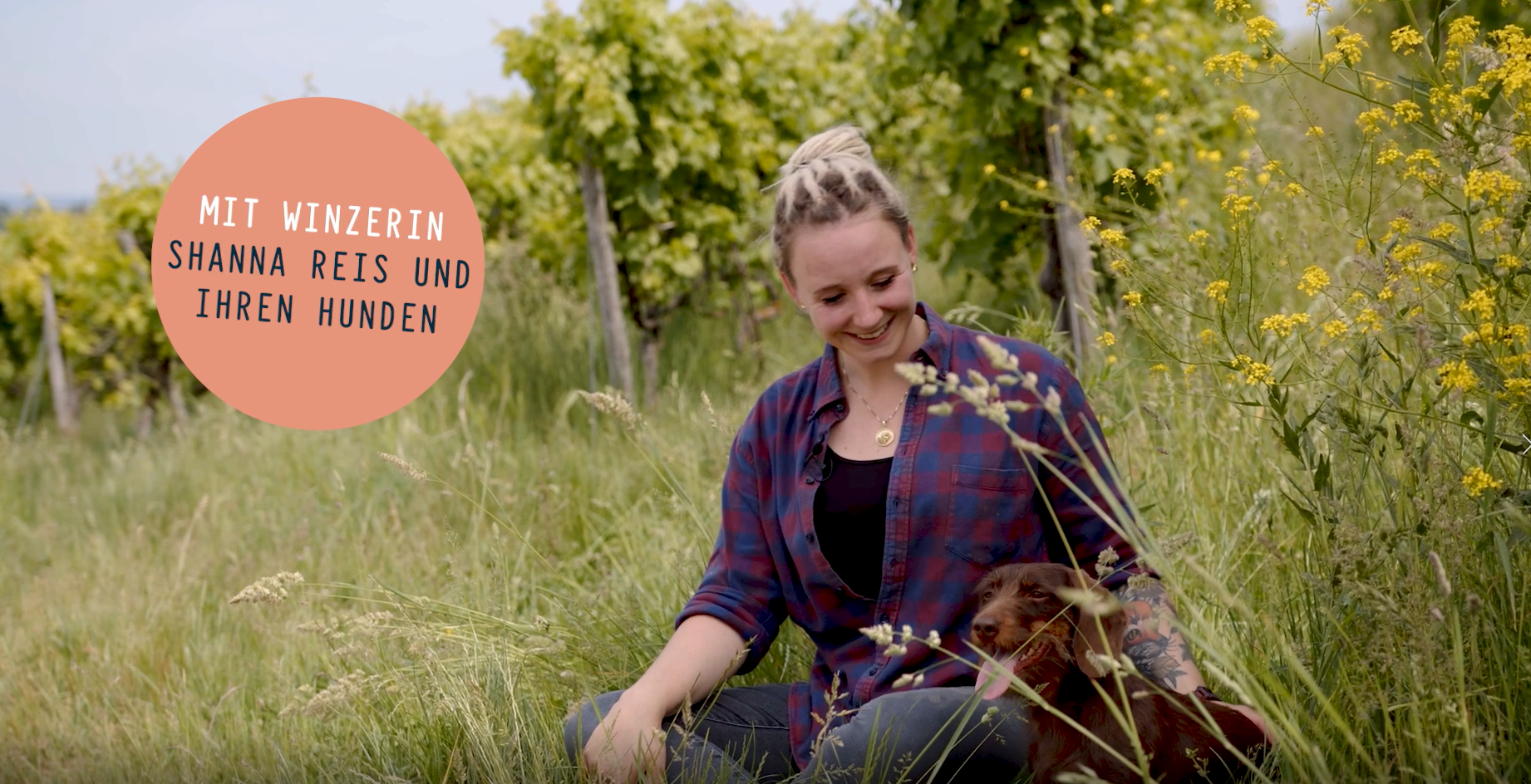 Dogwalk Rheinhessenwein May22